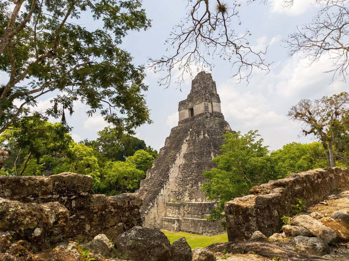 Explore the ancient Mayan architecture of Tikal's Great Jaguar Pyramid surrounded by lush jungle.