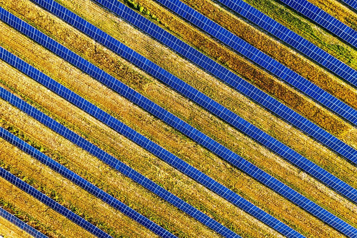 Aerial view of solar panels in a field