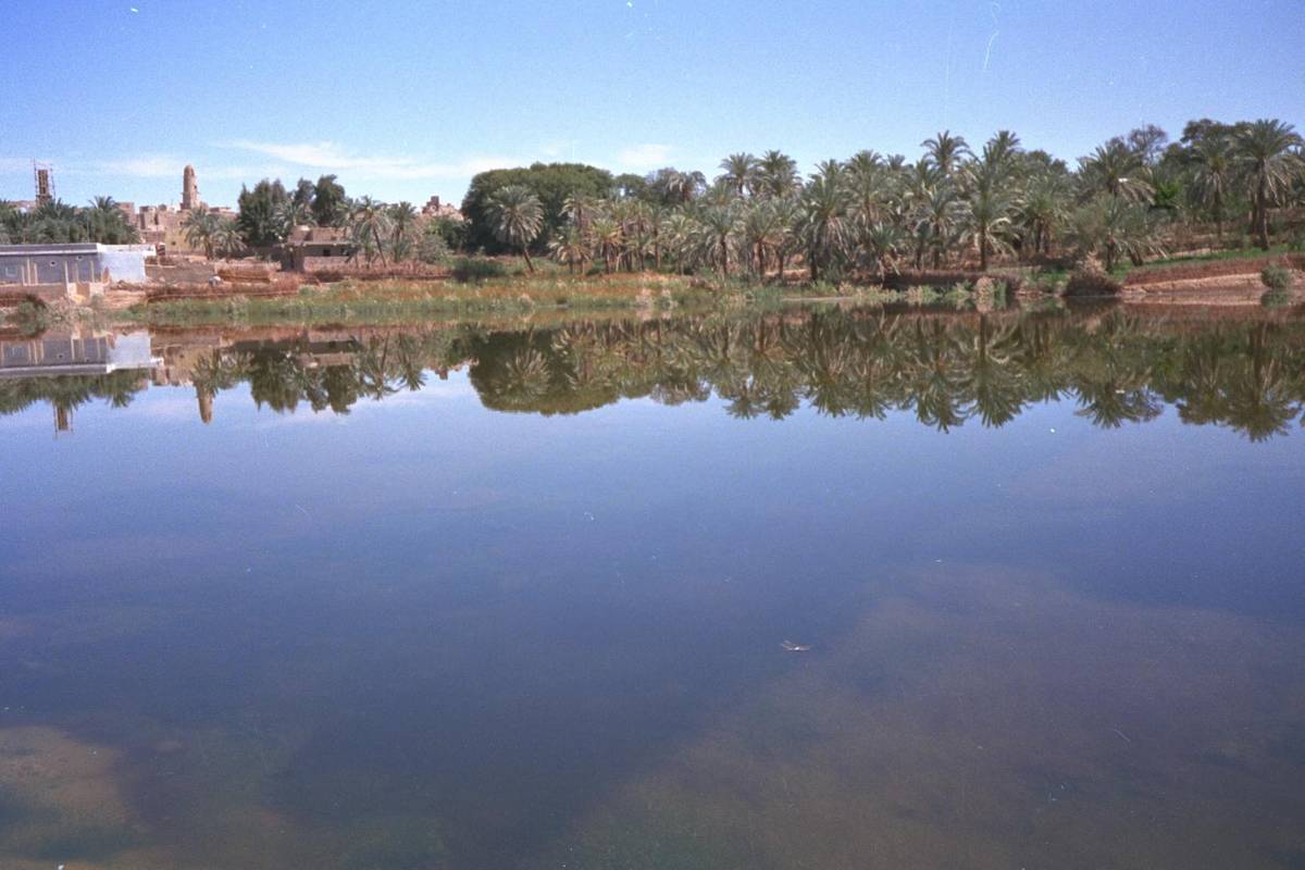 The Dakhla Oasis in Egypt's Western Desert