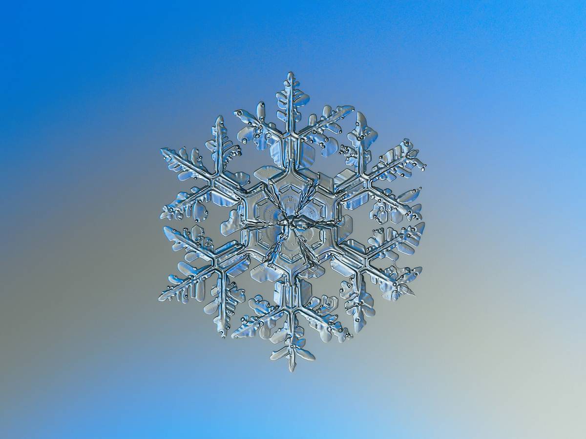 Snowflake macro photography 1