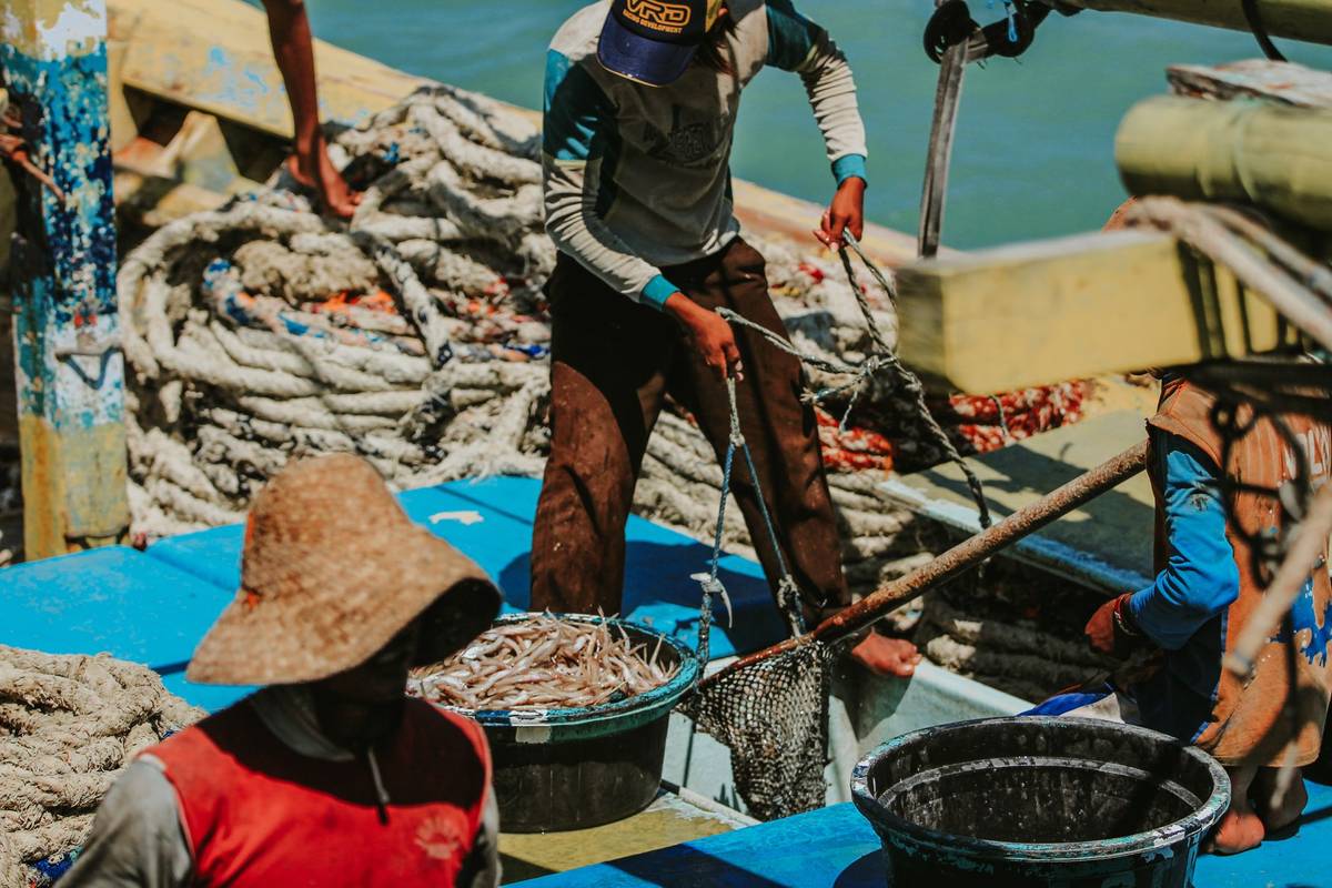 Fishermen engaged in traditional fishing on a boat in East Java, Indonesia.