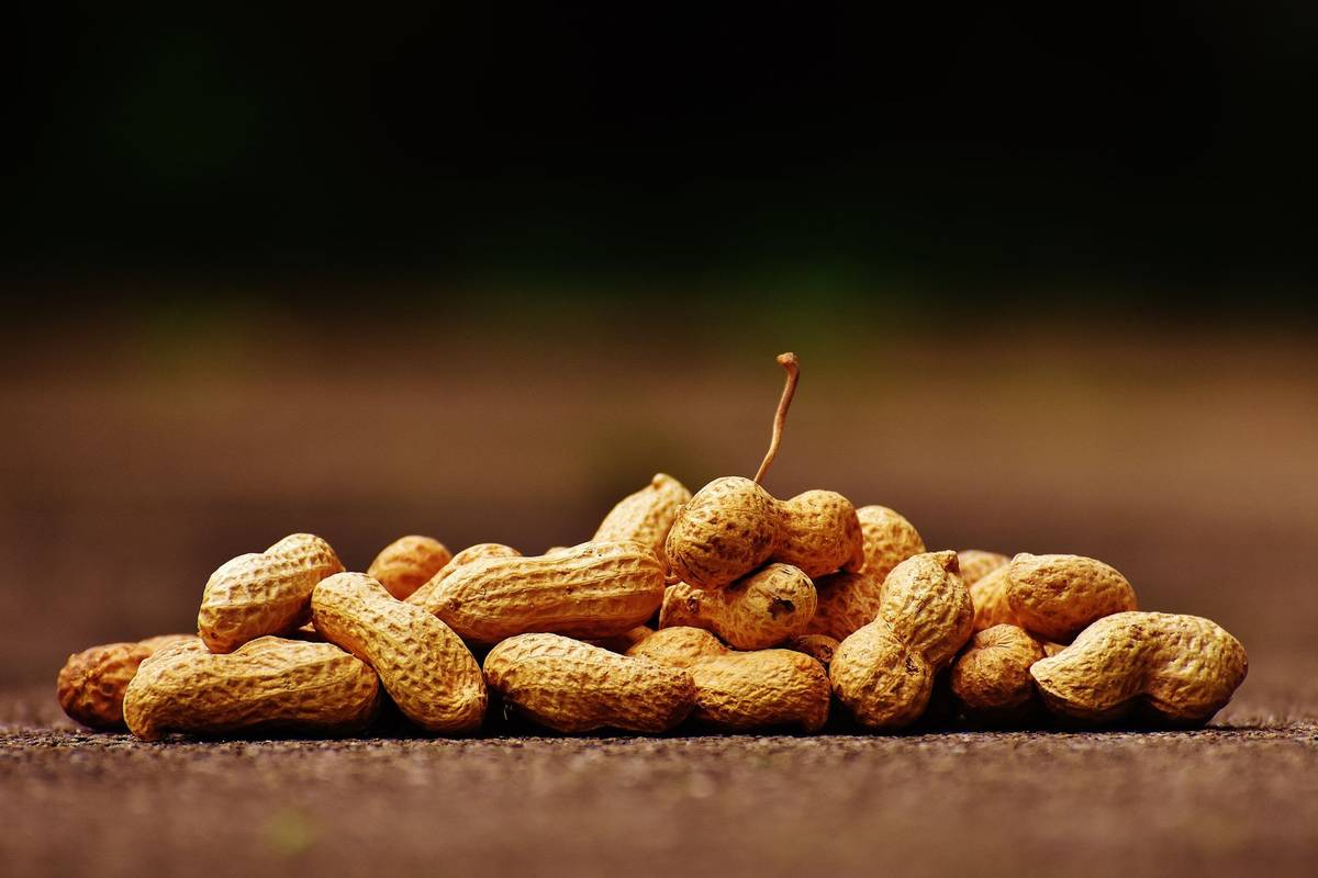 Shelled peanuts on a wooden surface.