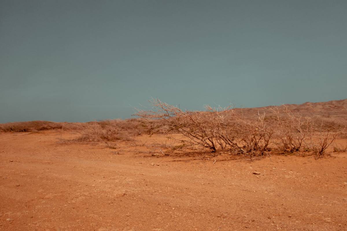 Arid desert terrain with sparse vegetation and a clear sky, showcasing a dry environment.